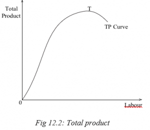 what is the production function in economics